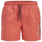 Hot Coral